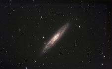 NGC253